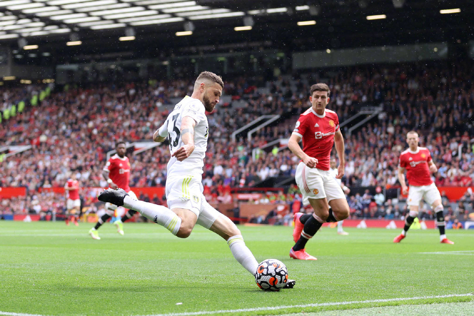 很多家庭的 很多家庭的