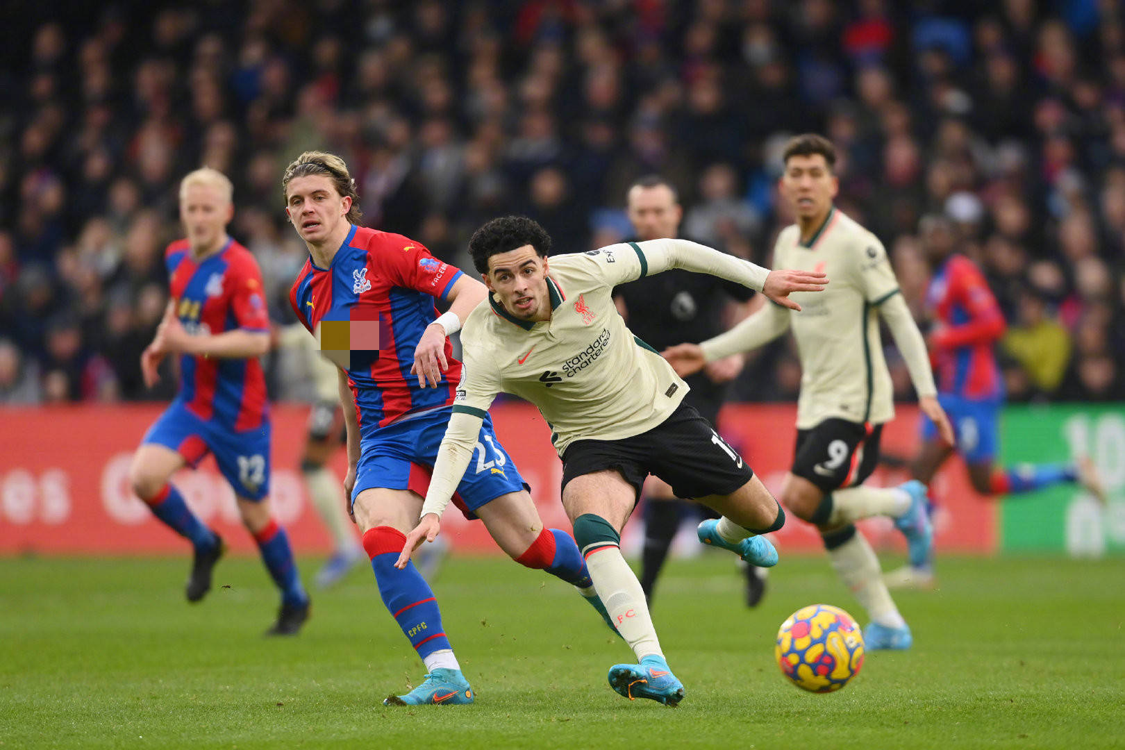 两个赛季的 两个赛季的